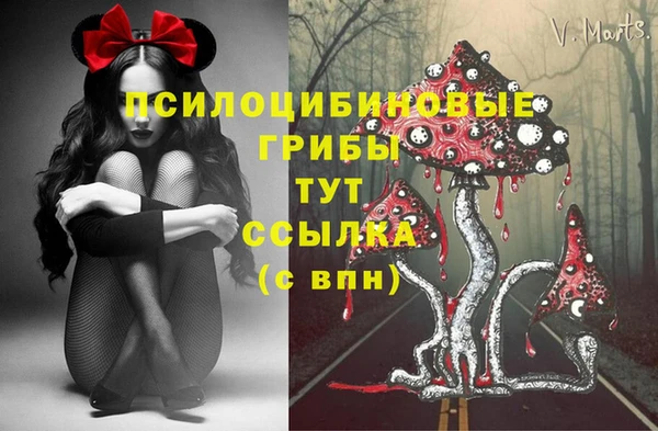 бошки Беломорск