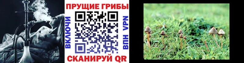 Галлюциногенные грибы мухоморы  Купить закладки  Томмот 